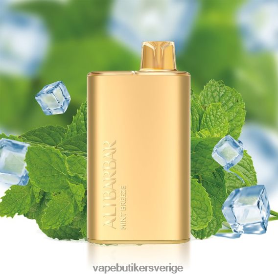 Vape Smaker - Alibarbar Rich 8000 engångsvape mintbris 6H426D8