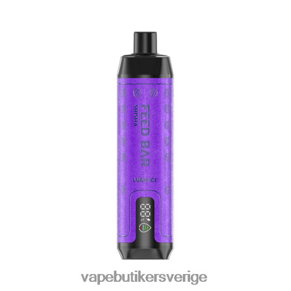 Vape Juice - Vapsolo SHISHA engångsvape frodig is 6H426D102