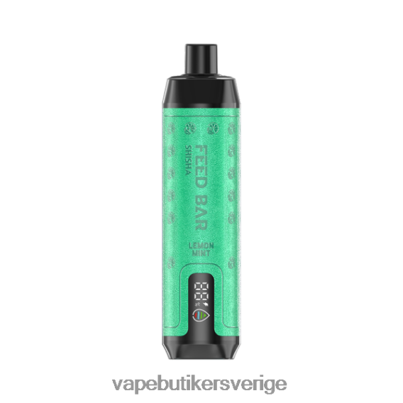 Vape Sverige - Vapsolo SHISHA engångsvape citronmynta 6H426D101