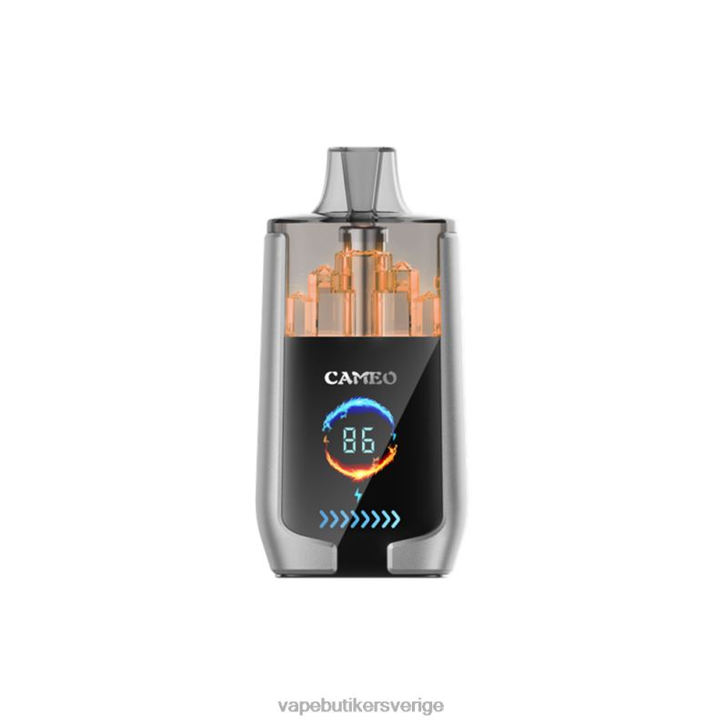 Vape Göteborg - LAVIE CAMEO 30 000 bloss blåbärsis 4RH2415