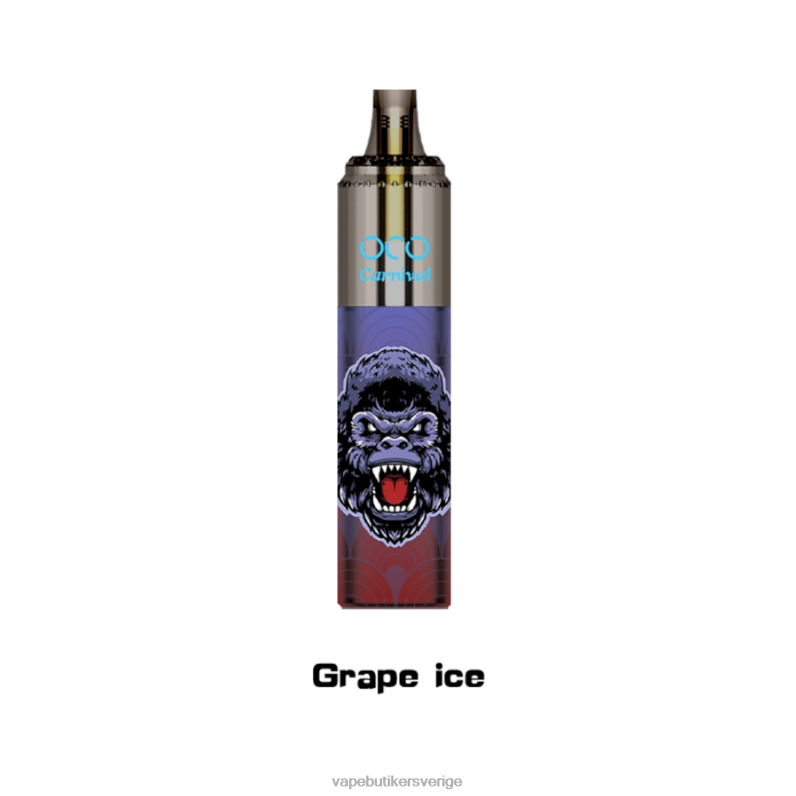 Vape Göteborg - LAVIE OCO karneval 10000 puffar druvis 4RH24350